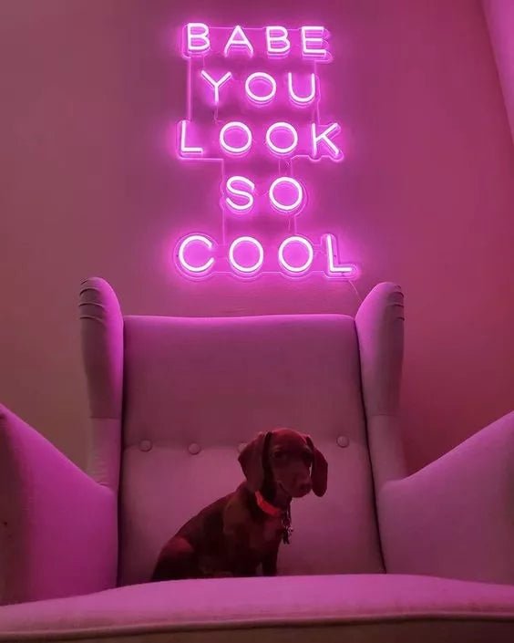 Shining Bright: Why LED Neon Signs Are the Perfect Choice for Modern Spaces - NeonHub